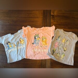 Bluey Kids Cartoon Character T-Shirts Set